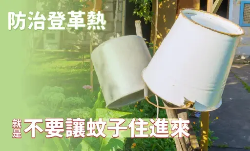 防治登革熱，就是不要讓蚊子住進來