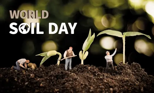 World Soil Day