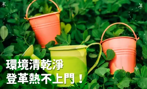 環境清乾淨，登革熱不上門！