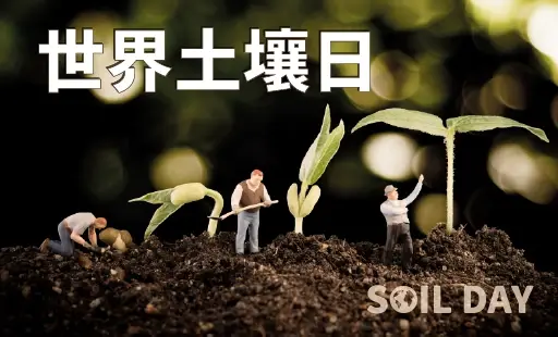 世界土壤日