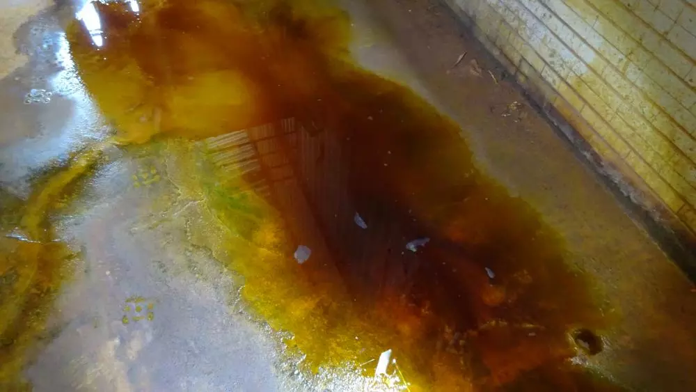 檢視「廢水漫流在地面後流入化糞池內」圖片