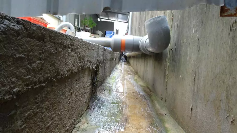 檢視「業者以獨立塑膠管偷排廢水」圖片