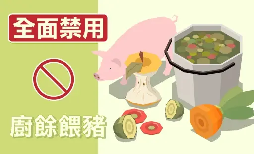 全面禁用廚餘餵豬
