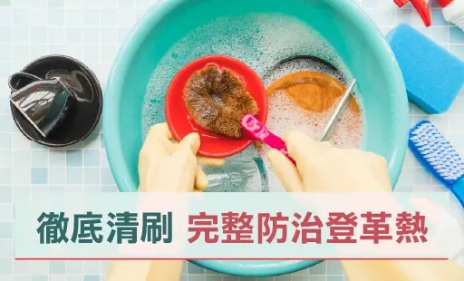 徹底清刷 完整防治登革熱