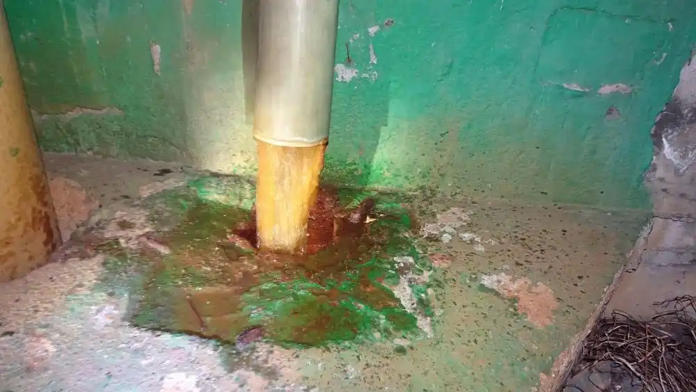檢視「放流口排放黃褐色廢水」圖片