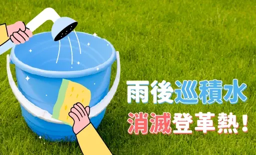 雨後巡積水，消滅登革熱