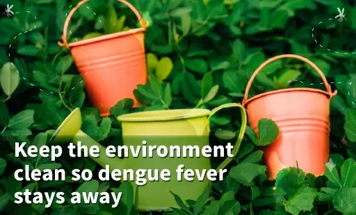 Keep the environment clean so dengue fever stays away