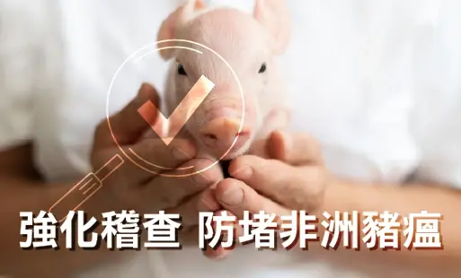 強化稽查 防堵非洲豬瘟