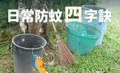 日常防蚊四字訣