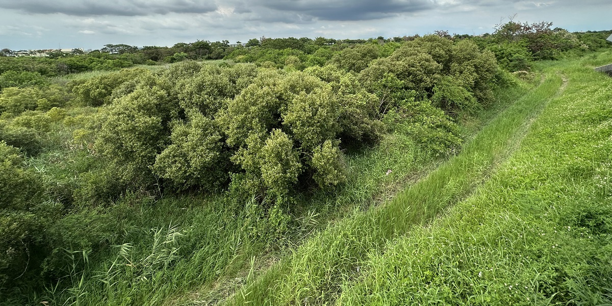 二仁溪廢棄物清理2期C場址現況