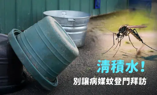 清積水！別讓病媒蚊登門拜訪
