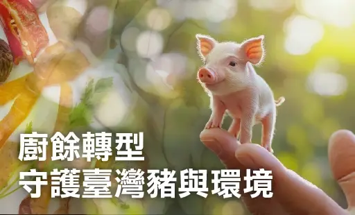 廚餘轉型 守護臺灣豬與環境